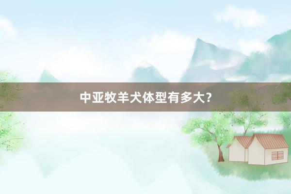 中亚牧羊犬体型有多大？